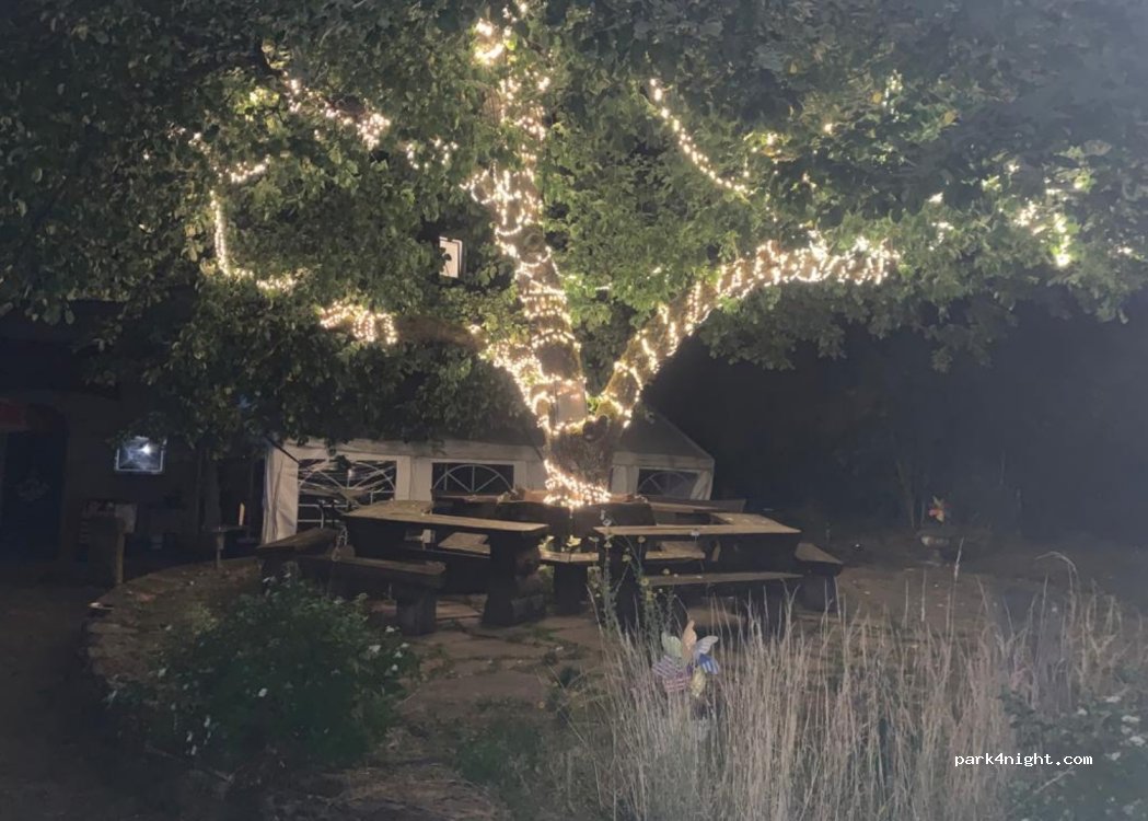 Haumühle Camping — foto 4
