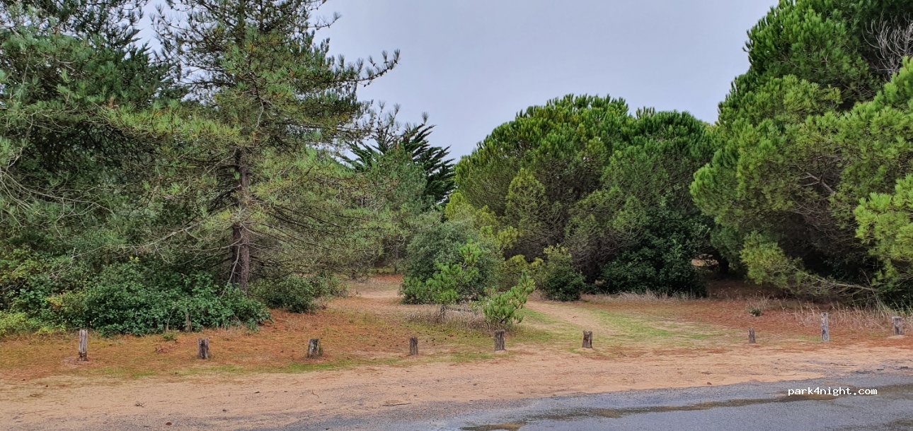 (85160) Saint-Jean-de-Monts - 39 Chemin du Pt Sochard — foto