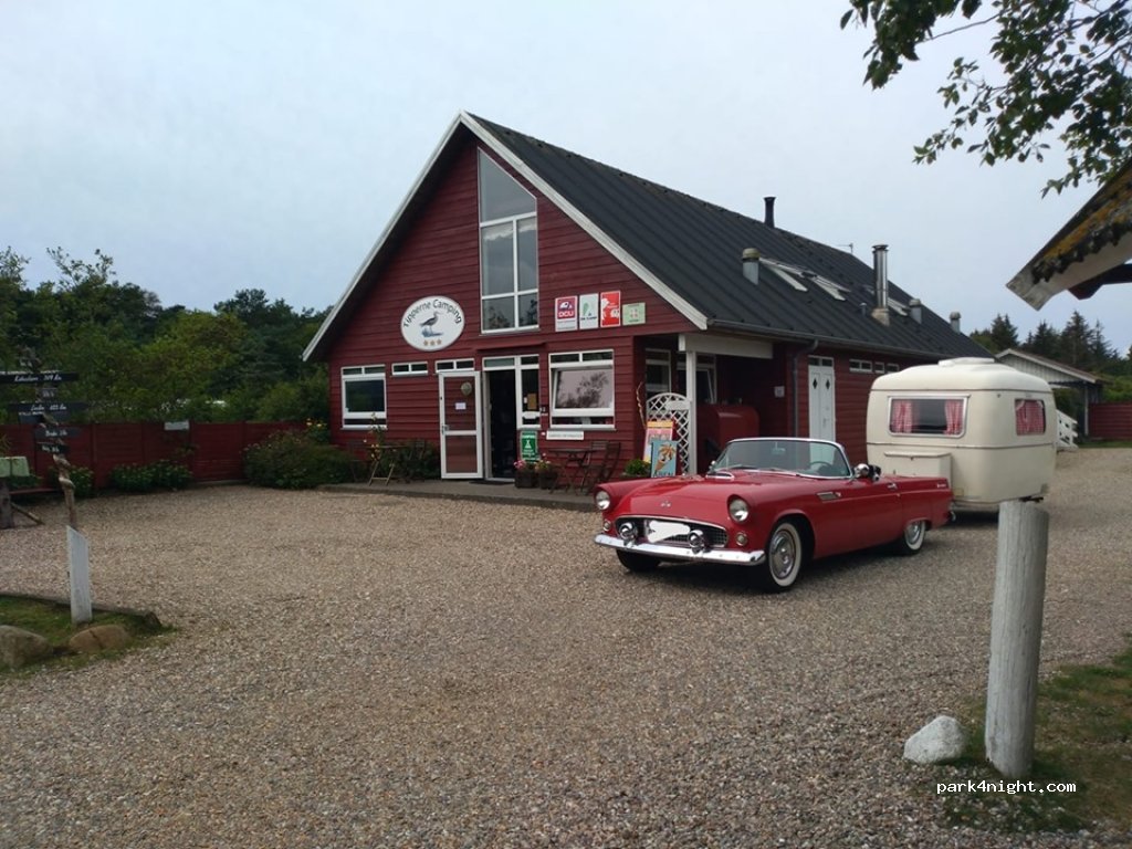 Tipperne Camping — foto 2