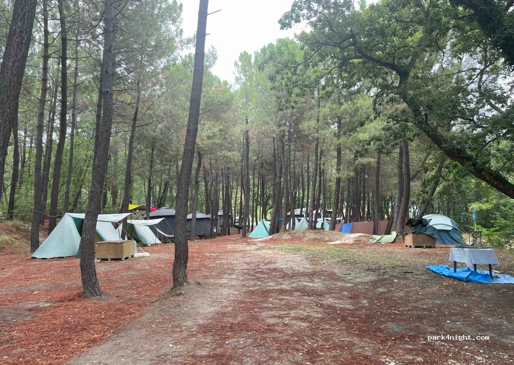 Ecoclub — foto 4