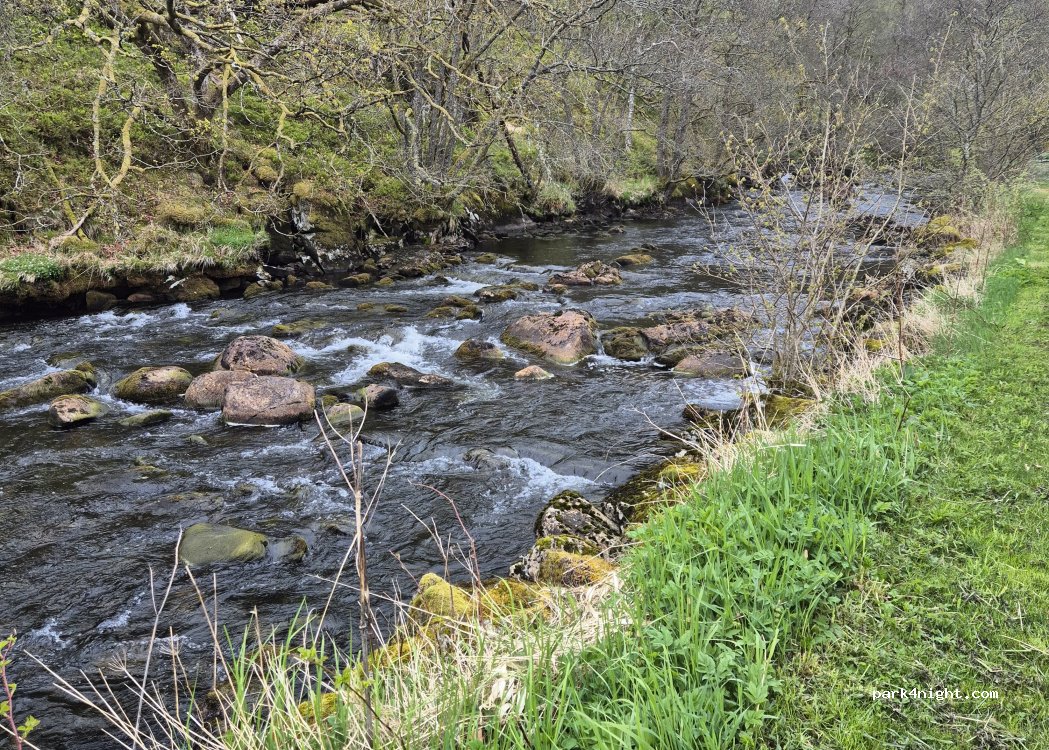 Bakkaåno Camping — foto 5