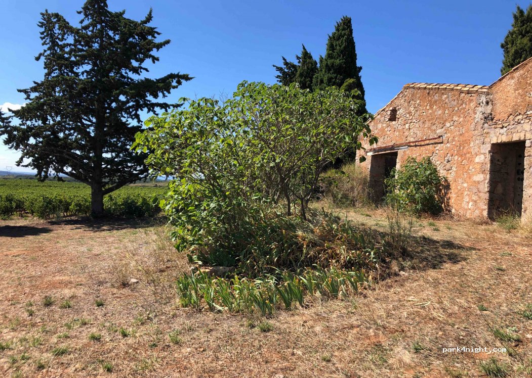 (34320) Neffiès - D15 — foto 3