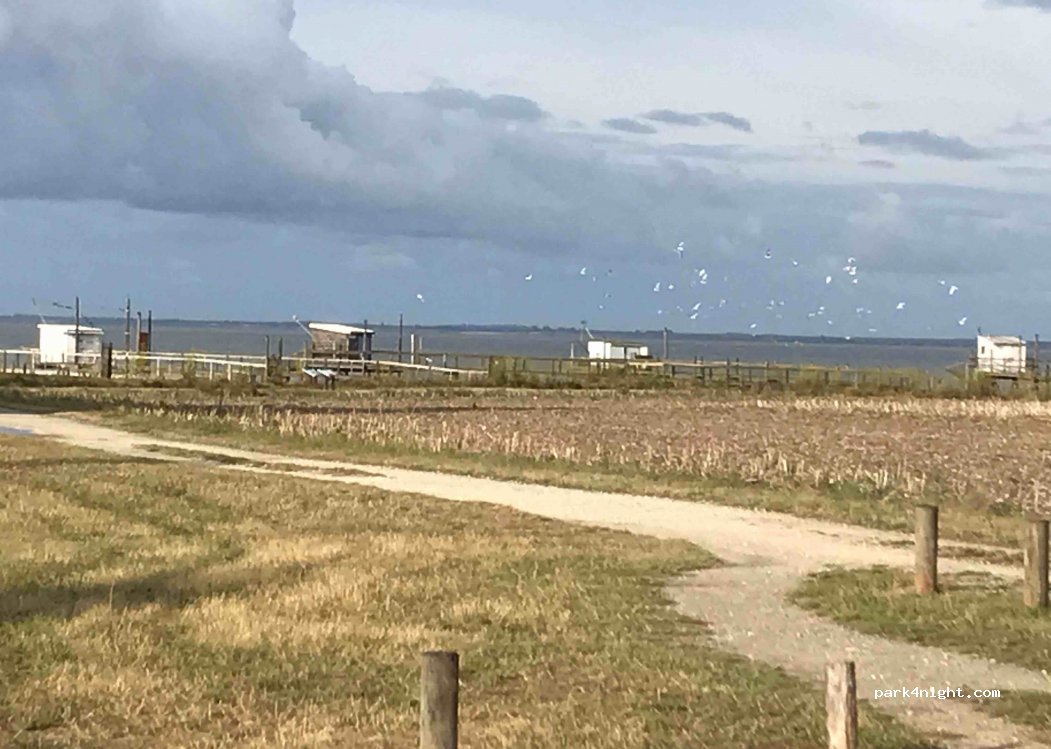 (17120) Arces - 28 Route de la Baie — foto