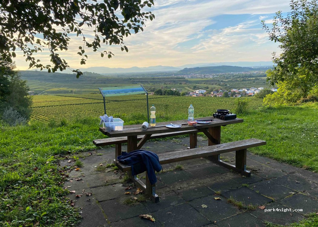 (79361) Sasbach am Kaiserstuhl - Unnamed Road — foto