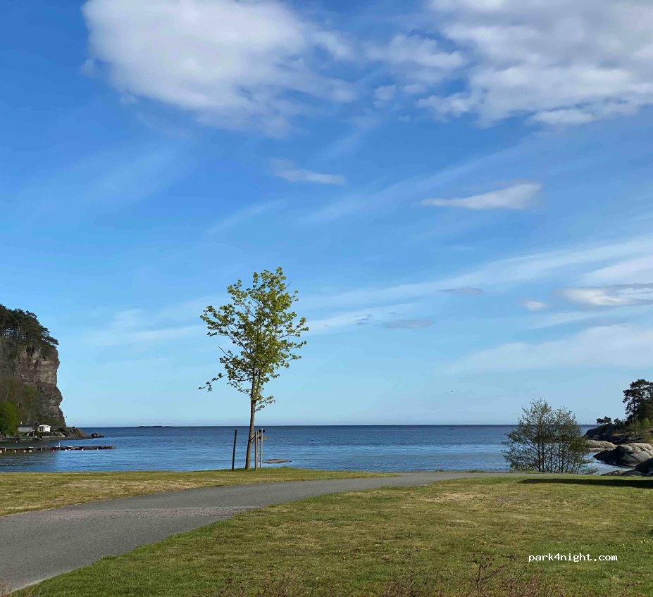 Rognstranda Camping — foto 3
