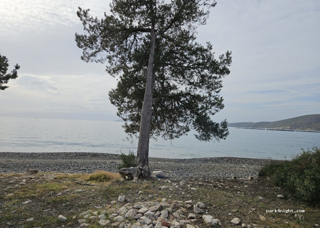 (210 60)  - Unnamed Road — foto 4