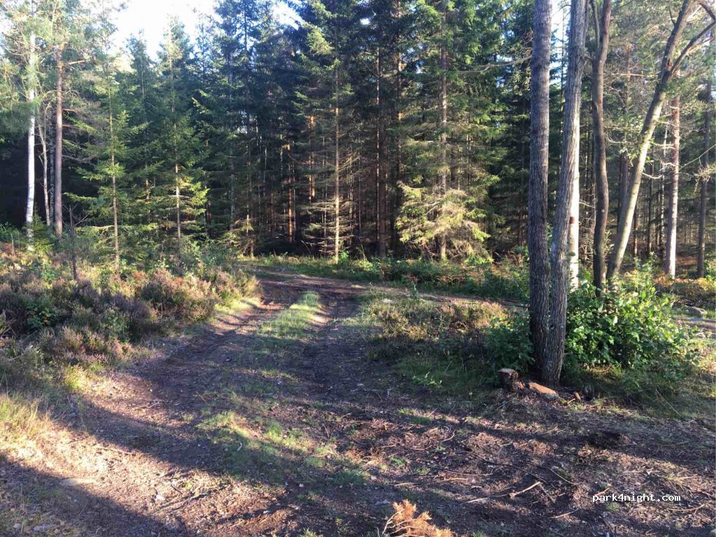 (662 91)  - Unnamed Road — foto 3