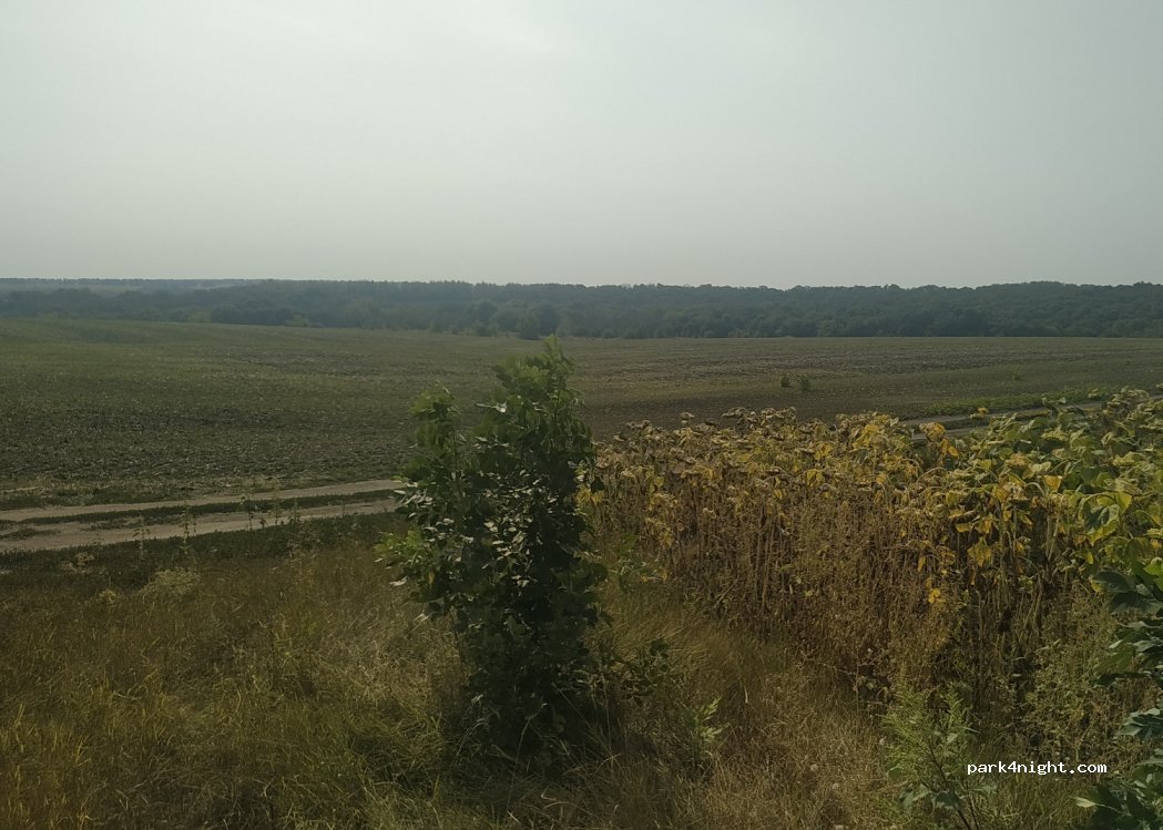 (397723) - Unnamed Road — foto 3