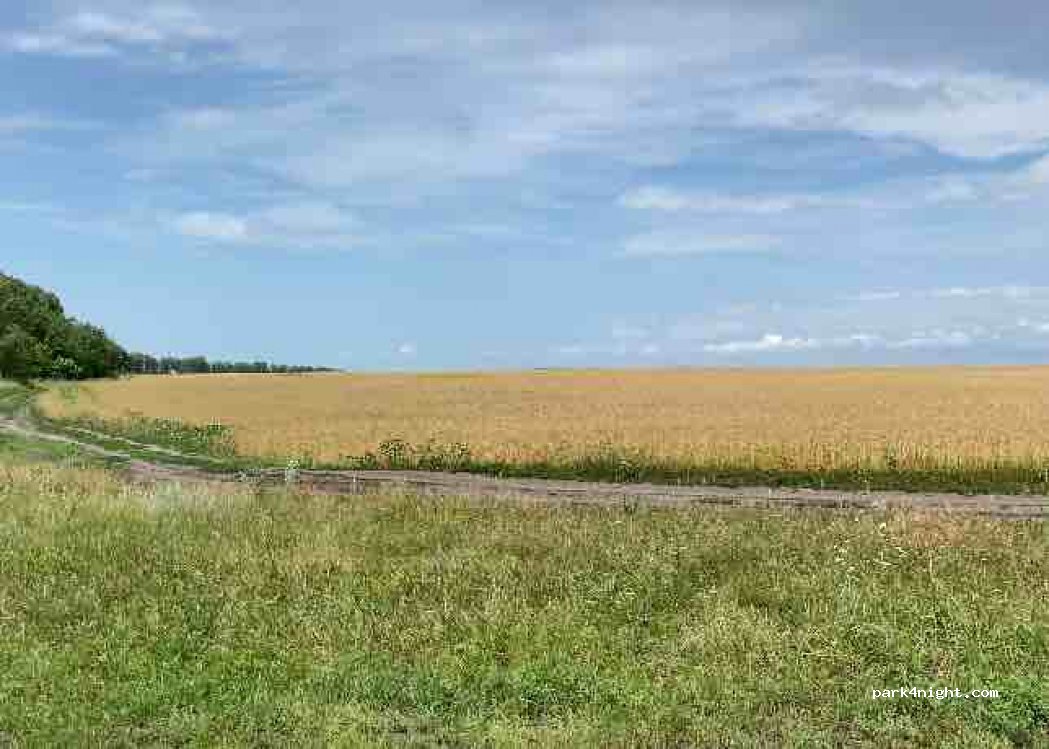 (397723) - Unnamed Road — foto 4