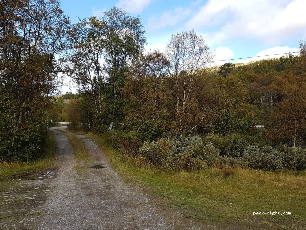 (2540) - 3 Primær Fylkesveg 26 — foto 4