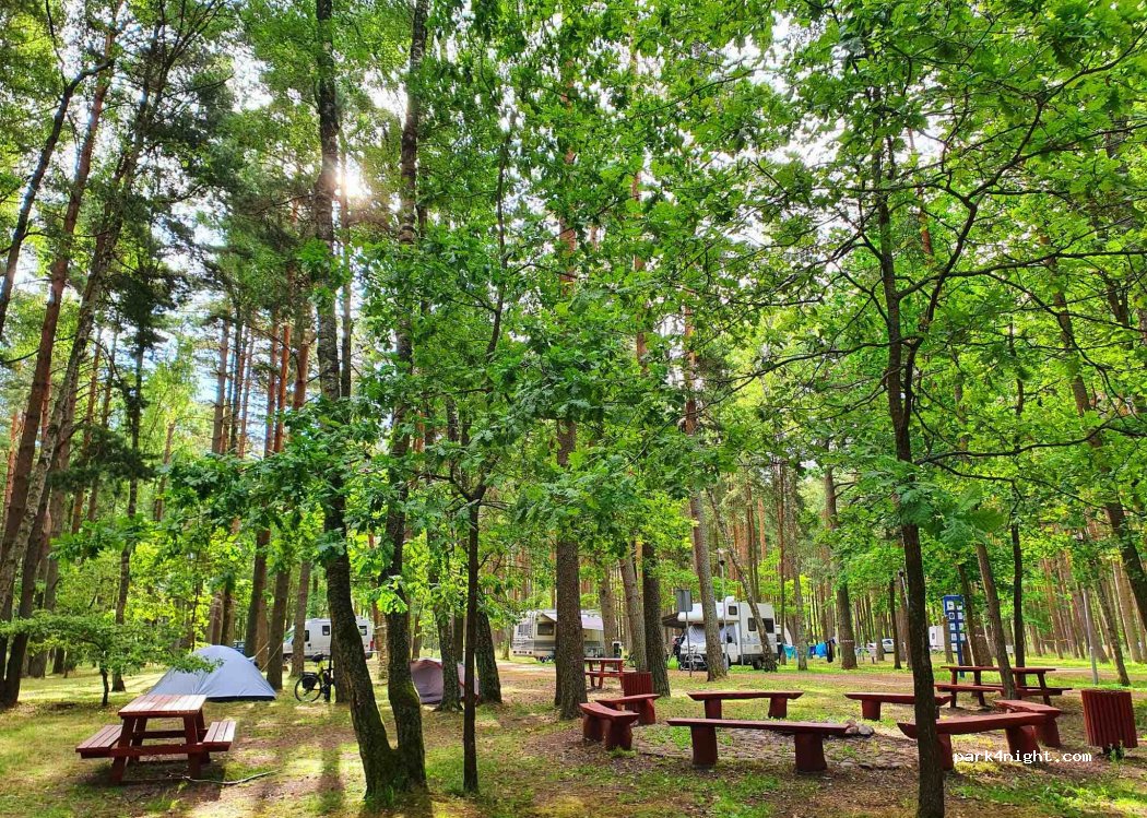 Camping Pajurio Kempingas — foto 3