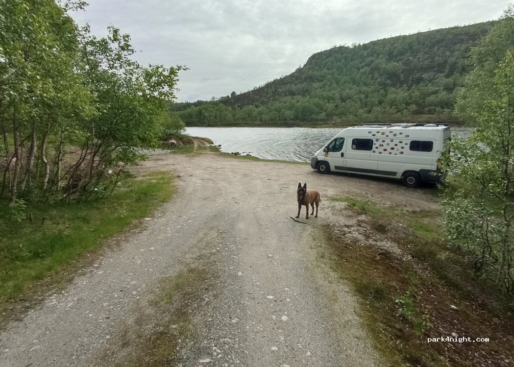 (4443) - Sekundær Fylkesveg 975 — foto 3