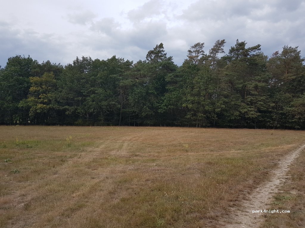 (06869) Coswig (Anhalt) - 1 Kirchfeld — foto