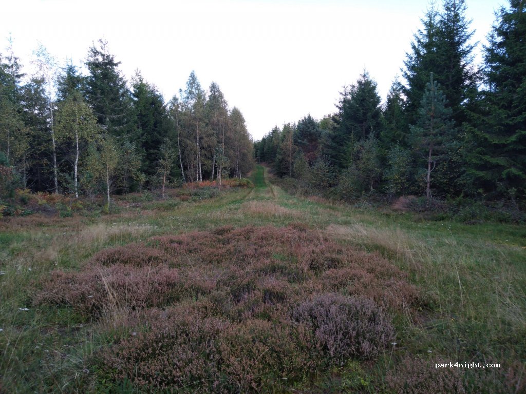 (565 93) Mullsjö - Unnamed Road — foto 2