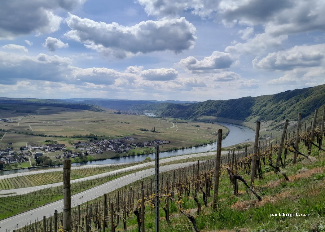 Neumagen/Drohn — foto 3