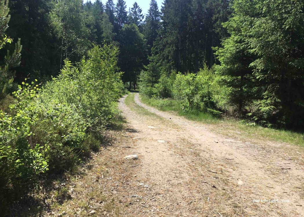 (305 93)  - Unnamed Road — foto 2
