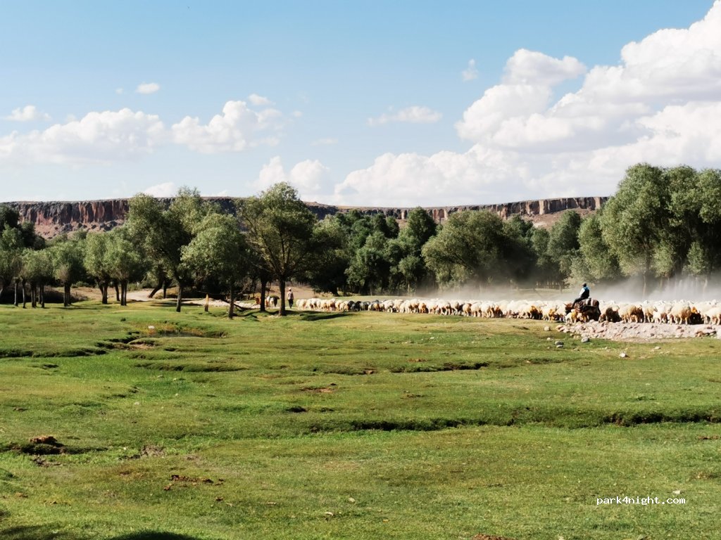 (68900) - Aşıklıhöyük Yolu — foto 2