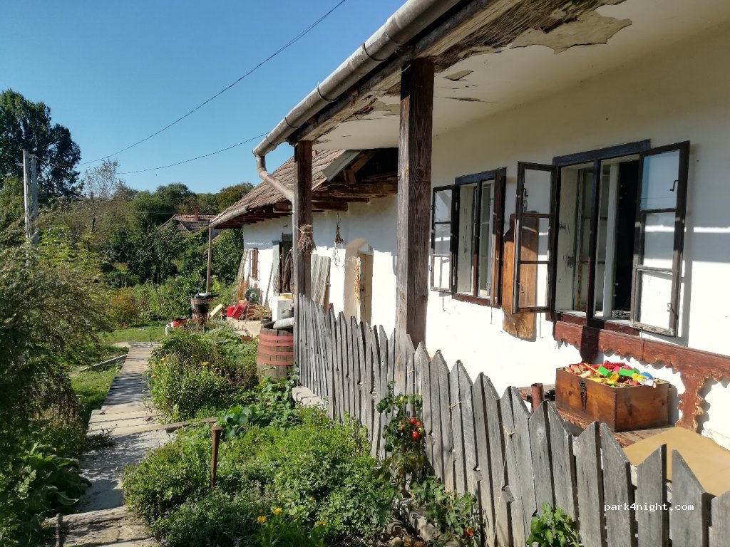 Vadvirág teaház — foto 2