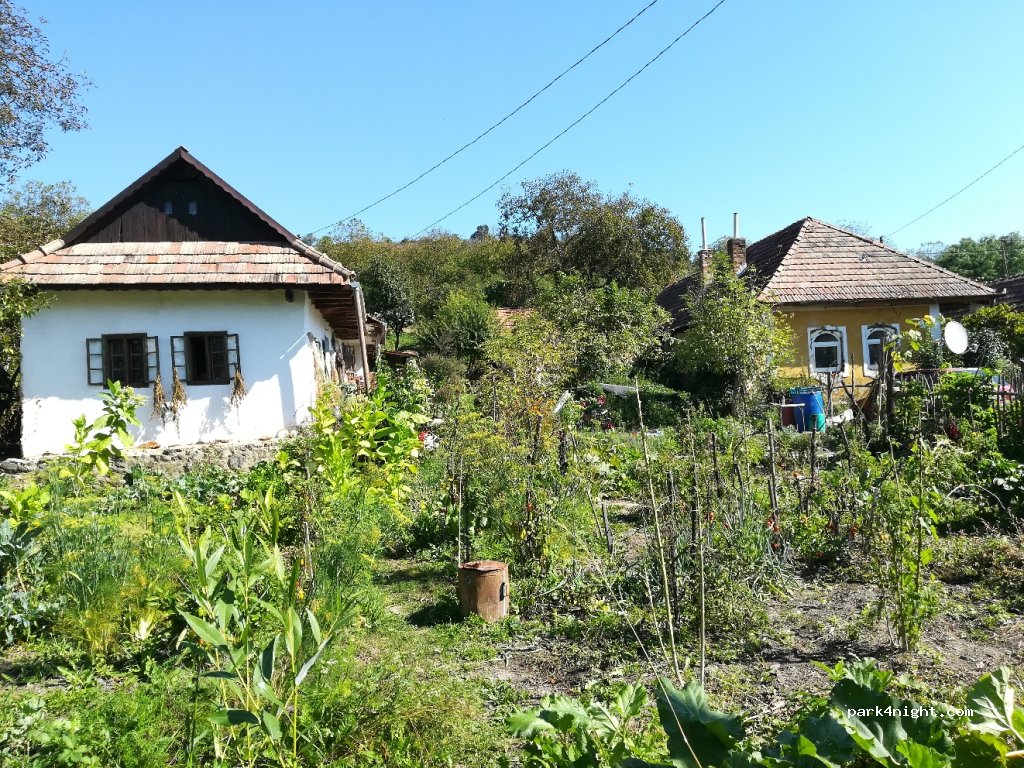 Vadvirág teaház — foto 3