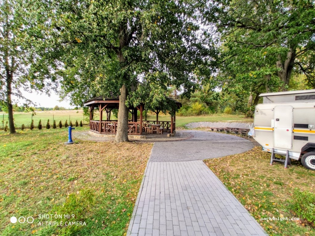 (17-307) Radziwiłłówka - — foto