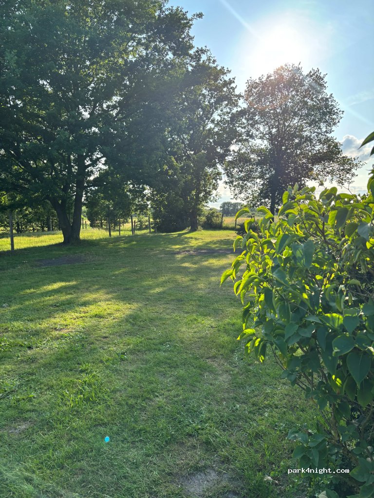 MoinCamp — foto 4