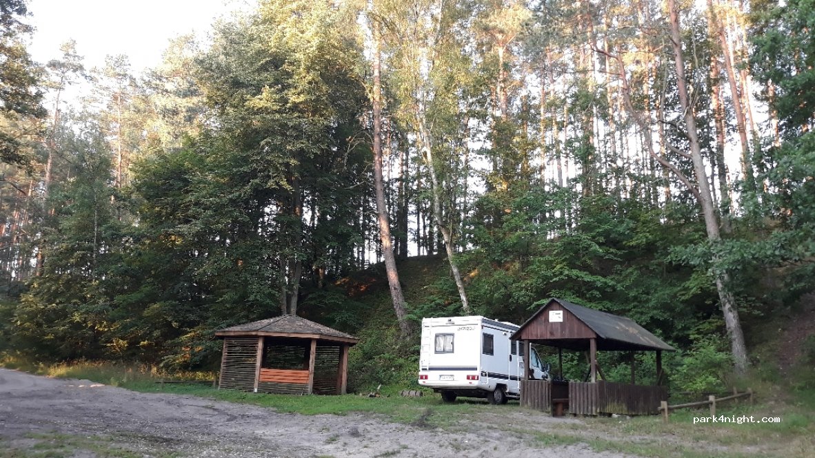 (83-261) Czubek - — foto