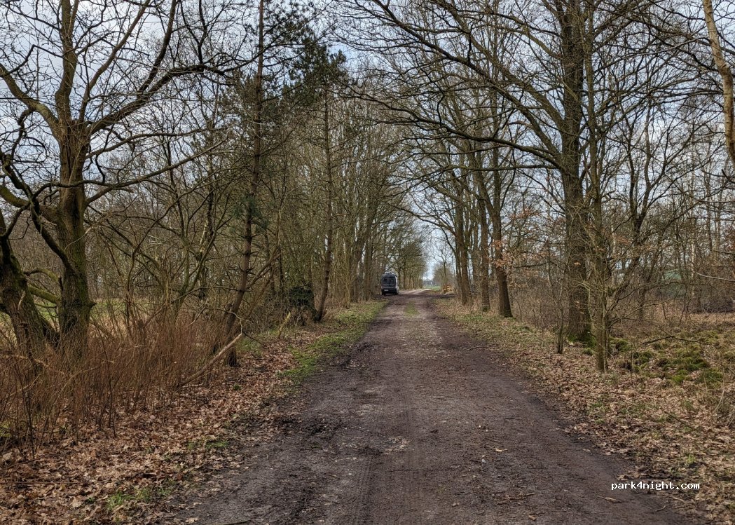 (24783) Osterrönfeld - Moorweg — foto 4