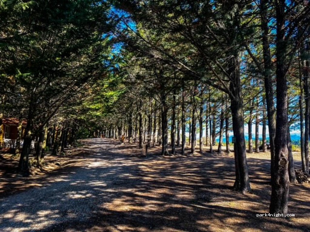 Camping le Matin Calme — foto 2