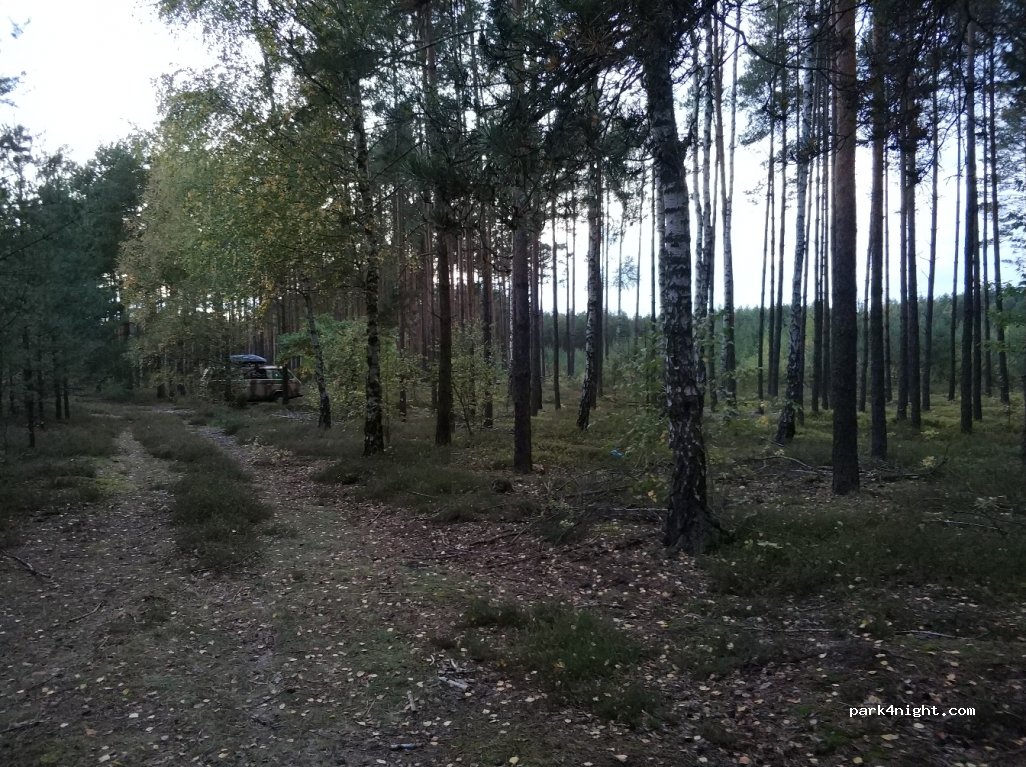(42-282) Wikłów - Unnamed Road — foto