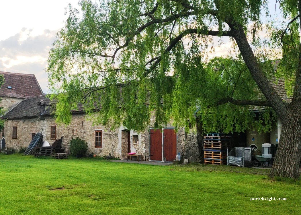 Bioweingut Edelhof — foto 4