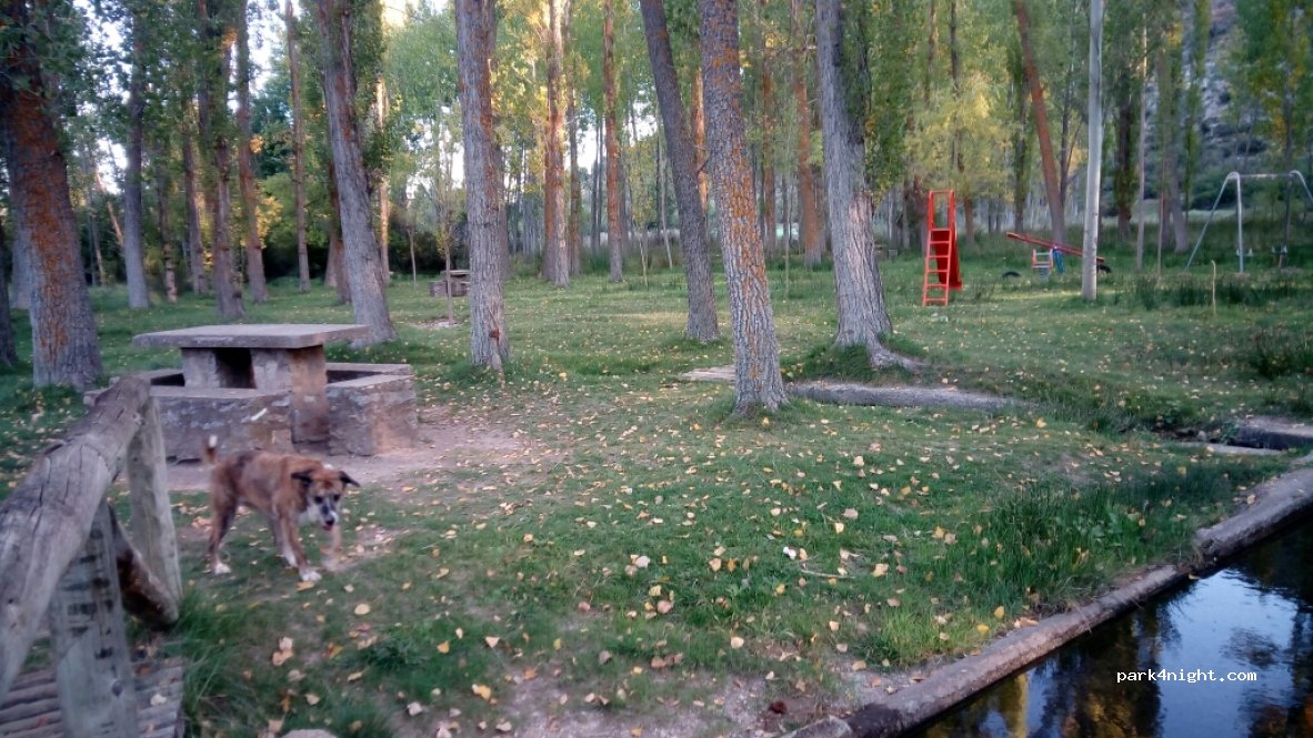 (44125) Royuela - A-1704 — foto