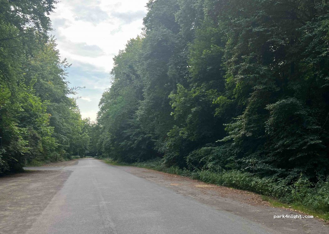 (50321) Brühl - 1 Am Birkhof — foto 3