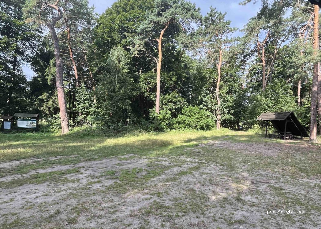 (87-820) Dębniaki - — foto 5