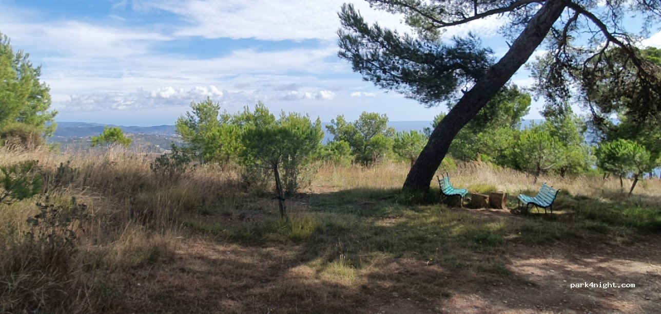 (18017) Cipressa - Strada Antica Torre — foto 2