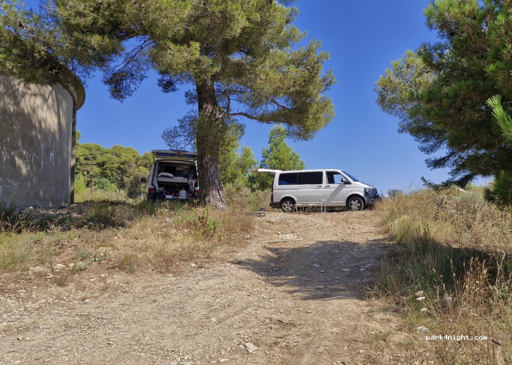 (18017) Cipressa - Strada Antica Torre — foto 4