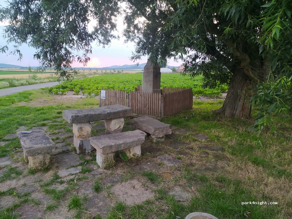 (294 26) Vrátno - — foto 2