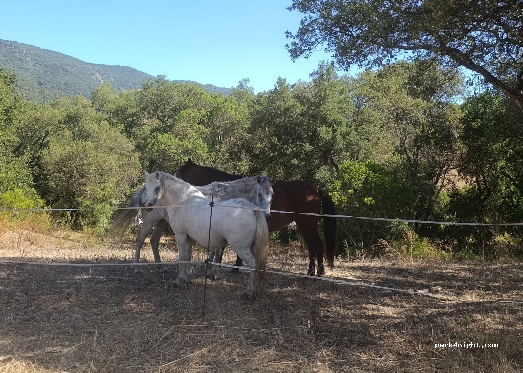 Camping Heidis Escape — foto 5