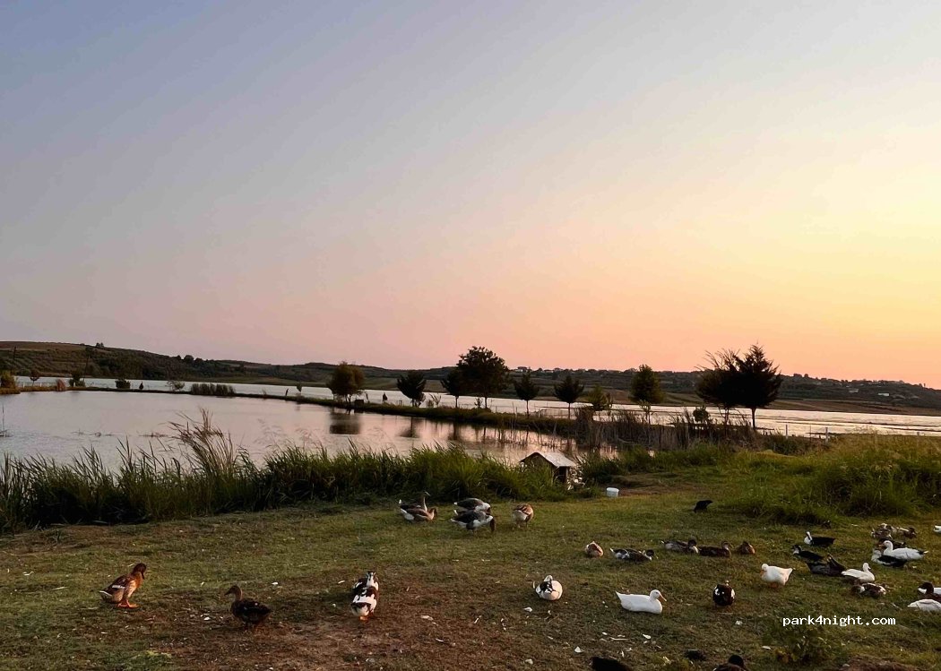 Camping Agroturizëm Paja — foto 4
