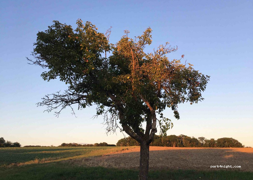 Wohnmobilstellplatz Langenburg — foto 3