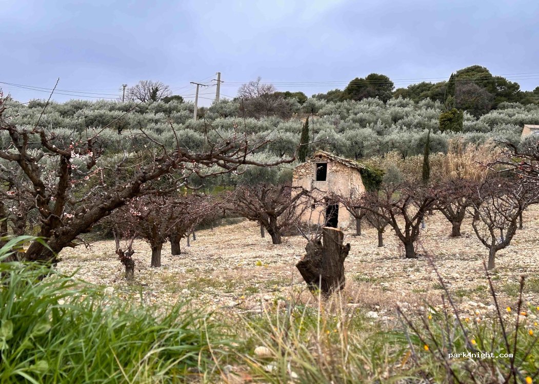 La ferme des Tuilières — foto 4