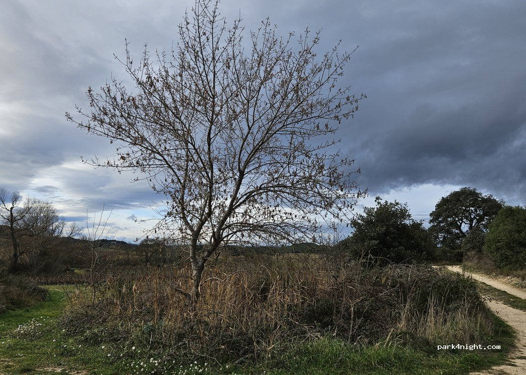 (34310) Capestang - Unnamed Road — foto 5