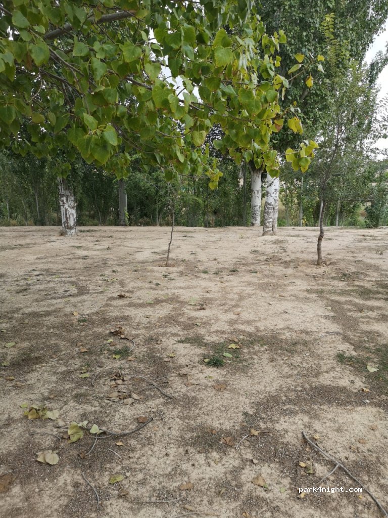 (47282) Trigueros del Valle - Unnamed Road — foto