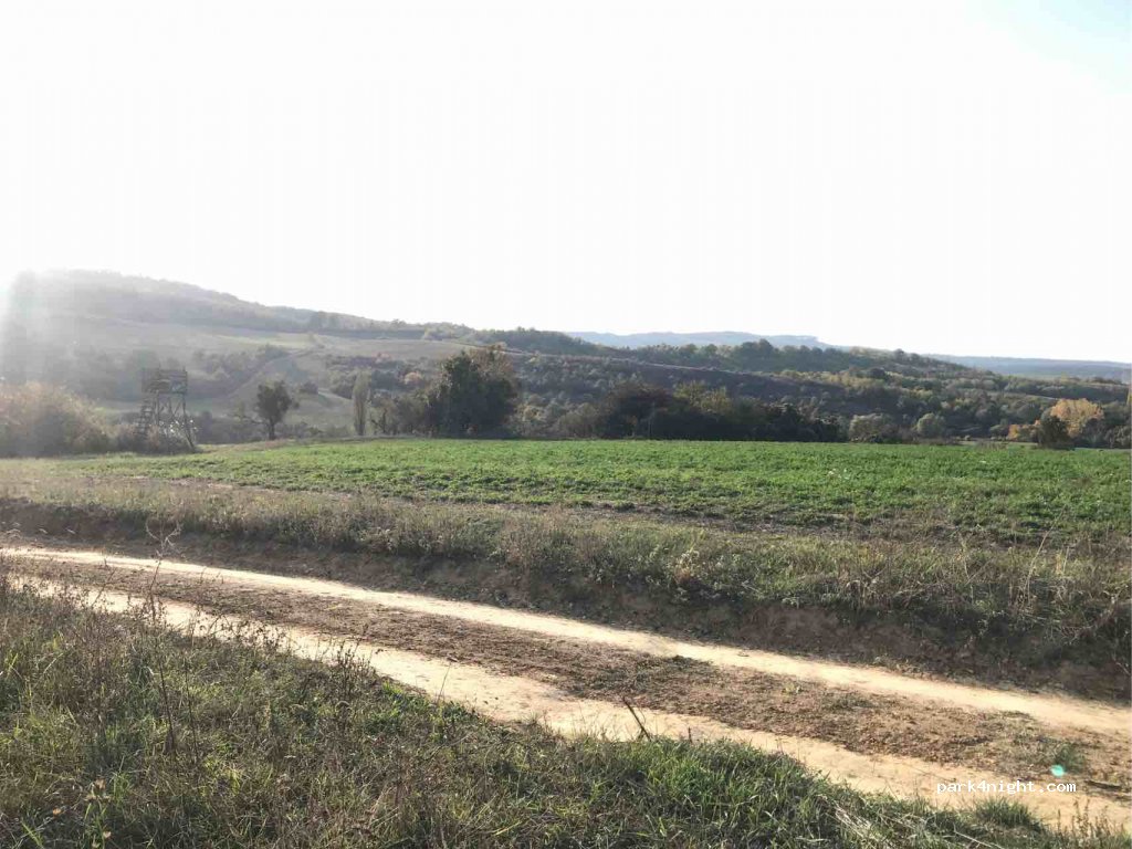 (7333) Kárász - 65181 — foto