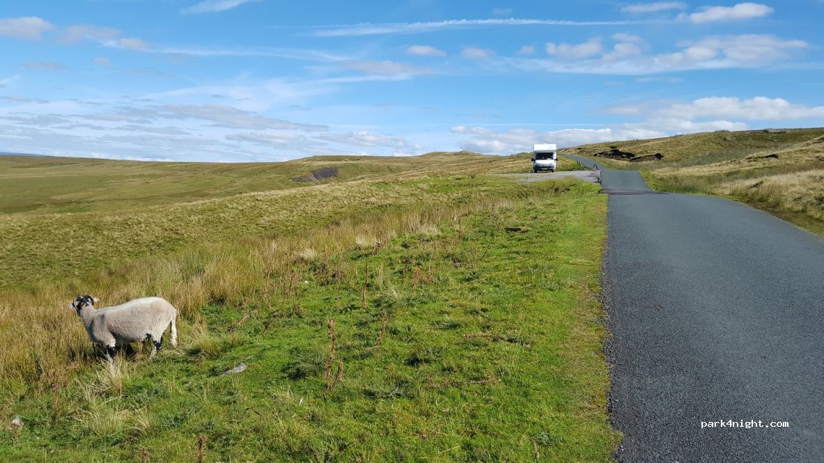 (DL11)  - Unnamed Road — foto 2