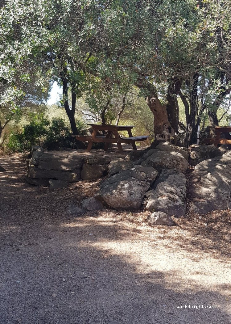 (07020) Luogosanto - Strada per San Trano — foto 4