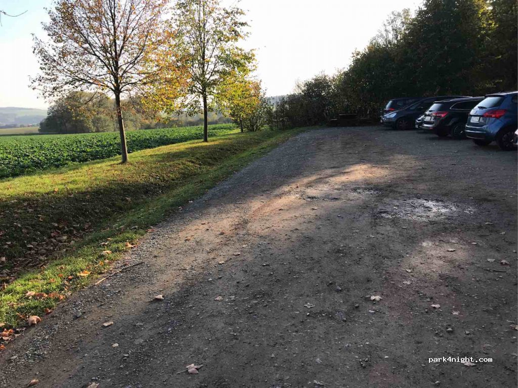 (07987) Mohlsdorf-Teichwolframsdorf - Waldhausstraße — foto 3