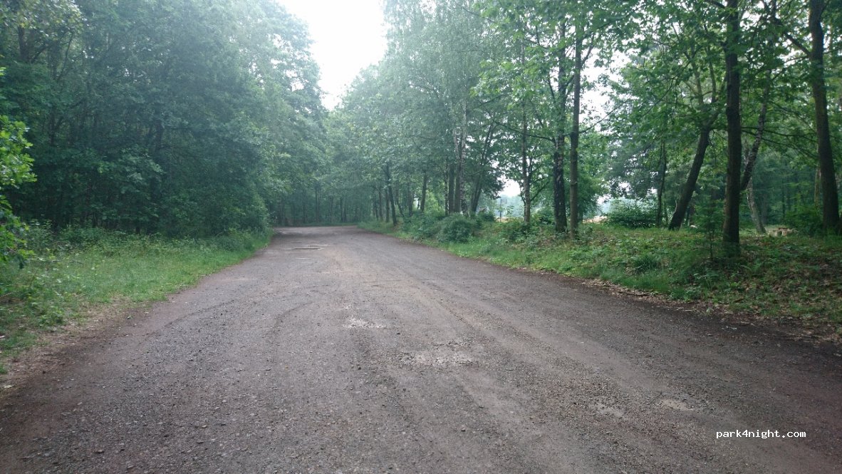 (49685) Emstek - Baumweg — foto