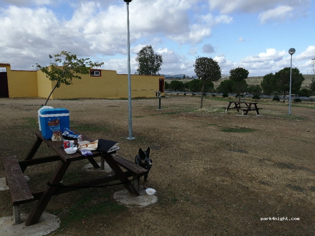 (13413) Alamillo - CM-4202 — foto 2