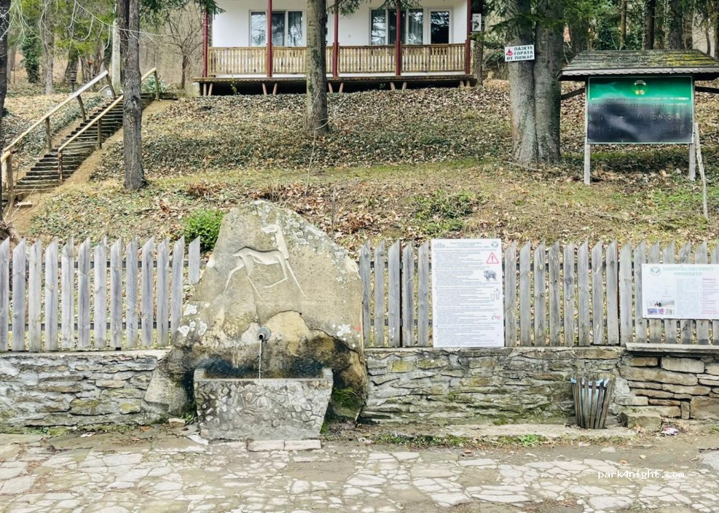 (8434) Kamchia - 73 — foto 2