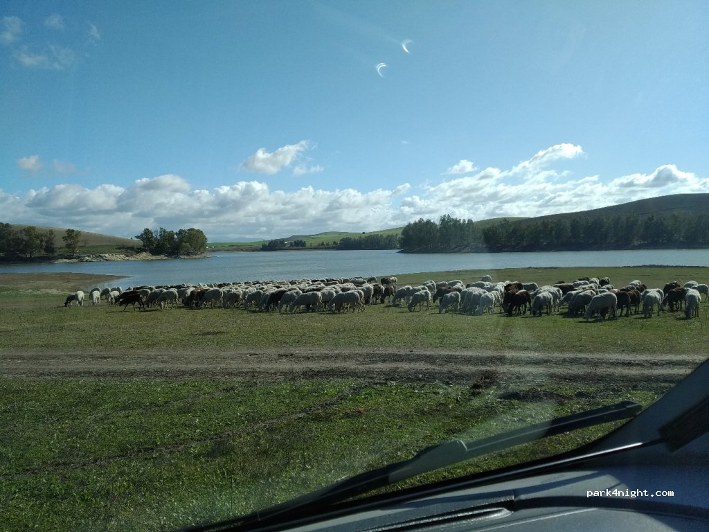 (41710) Utrera - Unnamed Road — foto 2